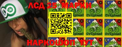 гидра Кимры