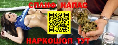 гидра Кинель