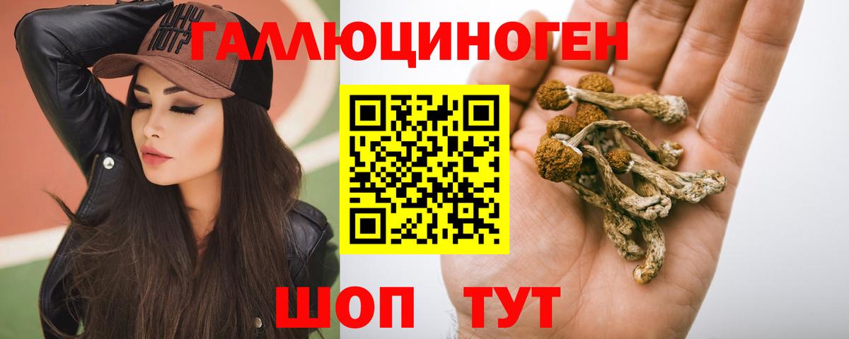Галлюциногенные грибы Cubensis  Вход с VPN  Галлюциногенные грибы Cubensis  Камышин 